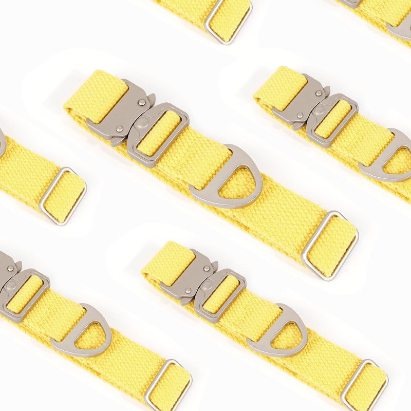 Custom Tactical Dog Collar - F - Outdoor Adventure Vector recension och pris
